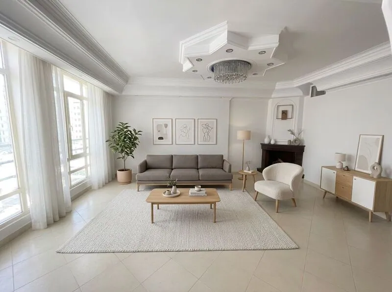 Scandinavian Living room