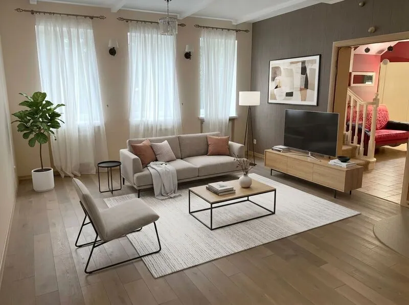 Contemporary Living room