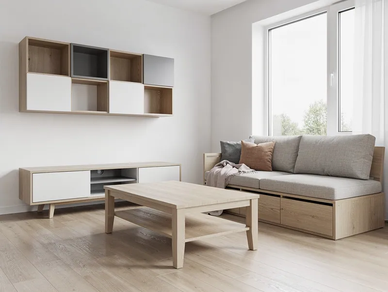 Scandinavian Living room