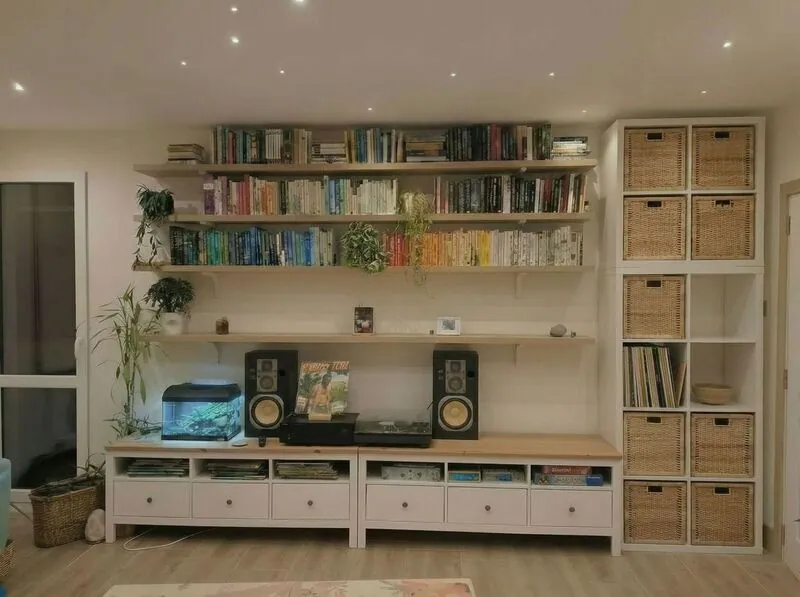 Scandinavian Living room