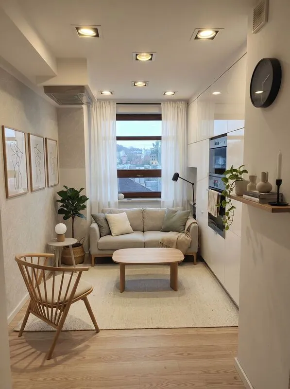 Scandinavian Living room