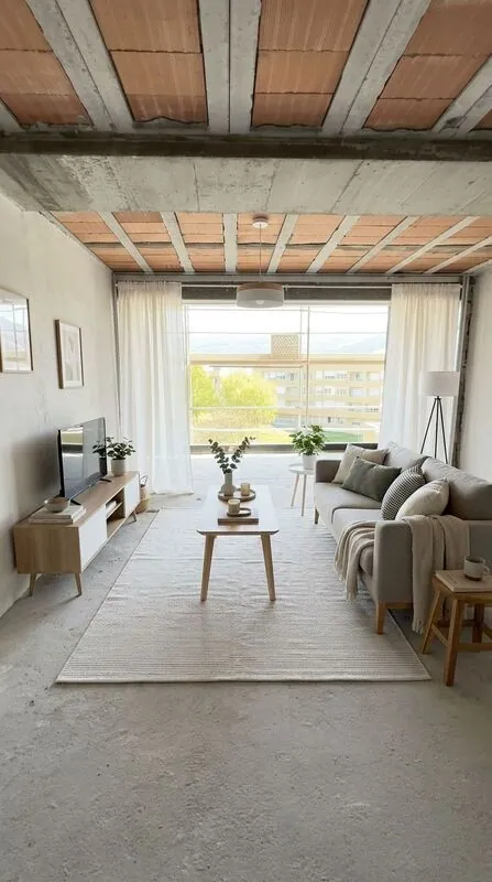 Scandinavian Living room