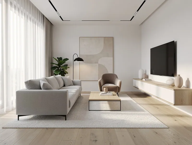 Modern Living room