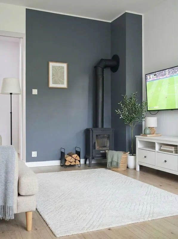 Scandinavian Living room