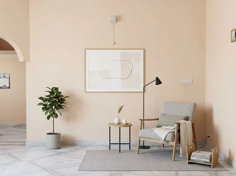 Scandinavian Living room