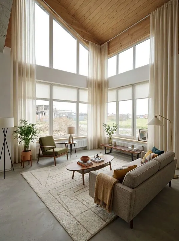 Midcentury modern Living room