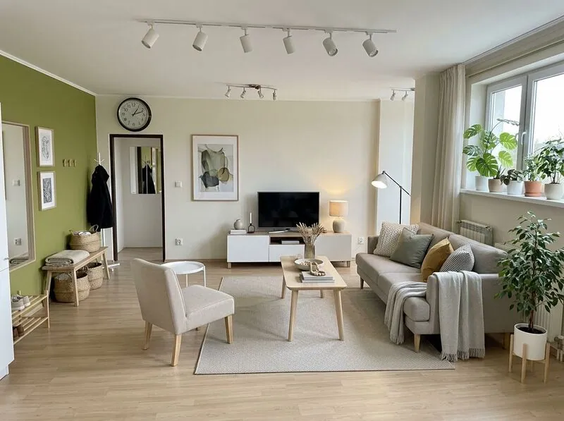 Scandinavian Living room