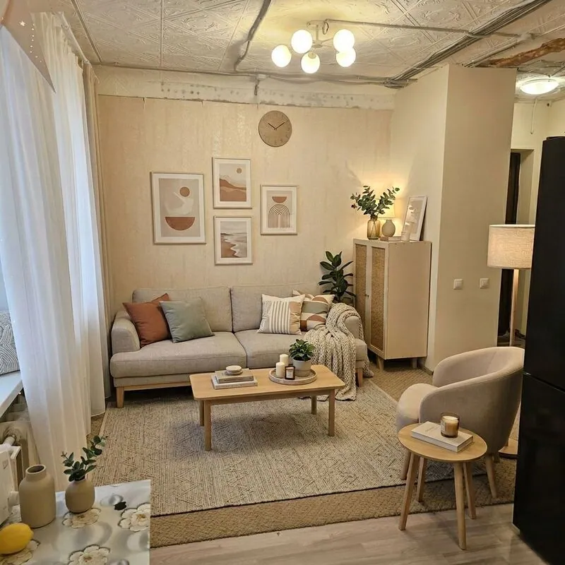 Scandinavian Living room