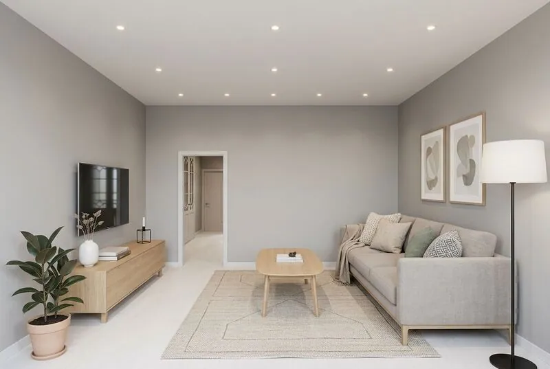 Scandinavian Living room