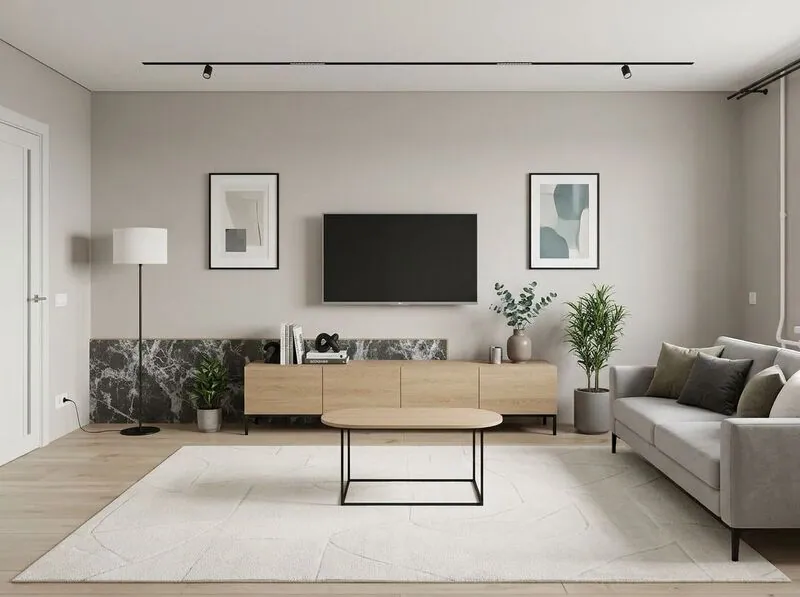 Modern Living room