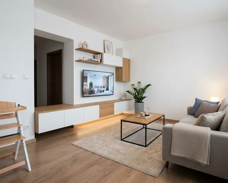 Contemporary Living room
