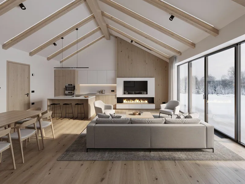 Scandinavian Living room