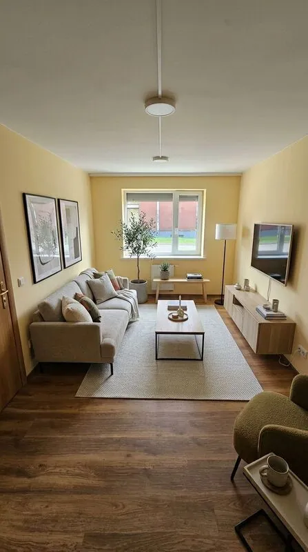 Modern Living room