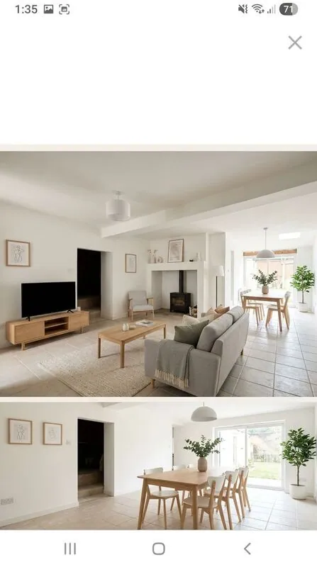 Scandinavian Living room