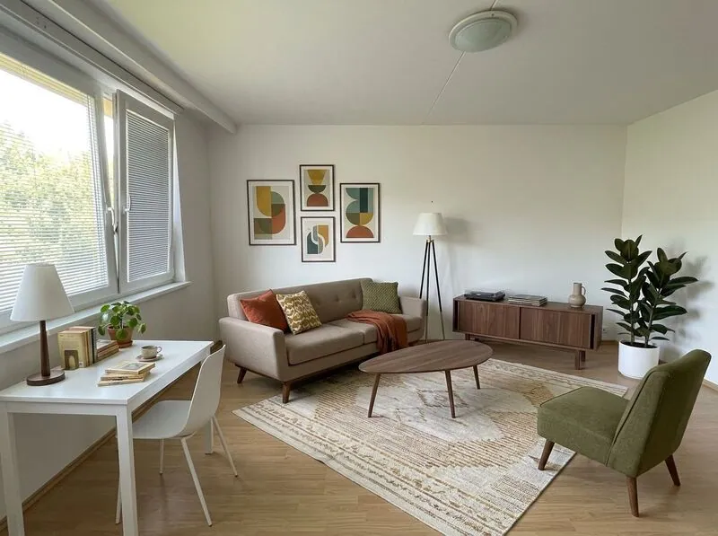Midcentury modern Living room