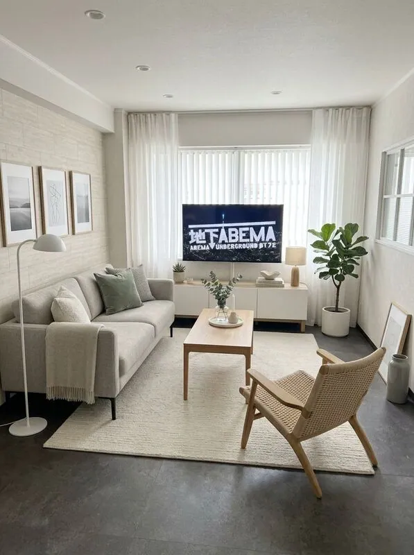 Scandinavian Living room