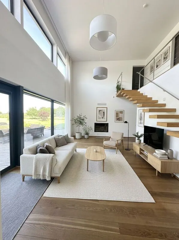 Scandinavian Living room