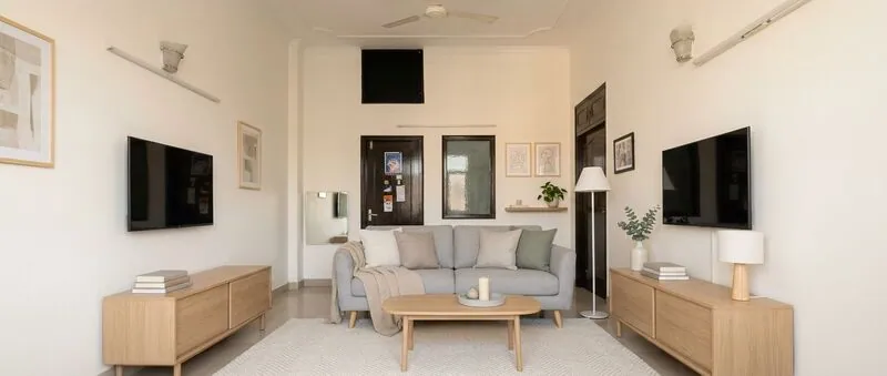 Scandinavian Living room