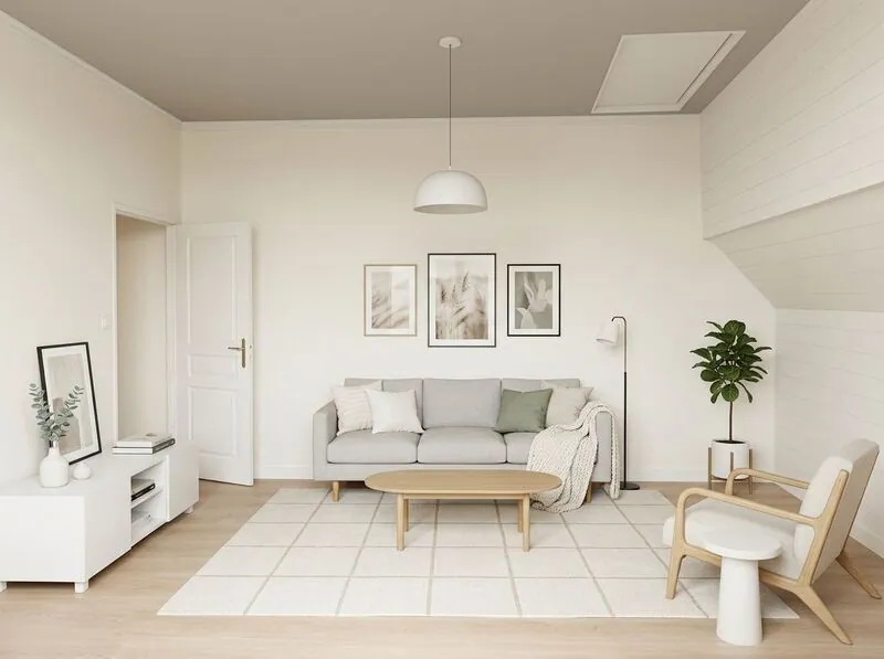 Scandinavian Living room
