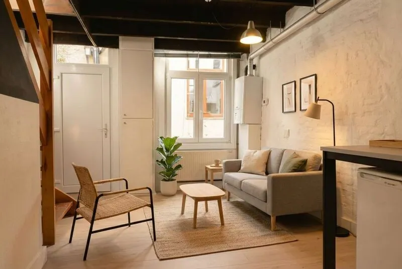 Scandinavian Living room