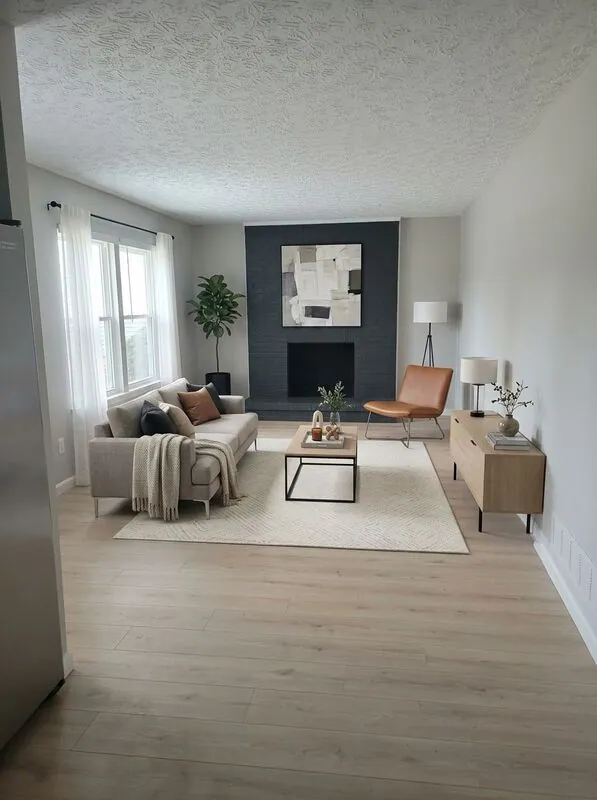 Modern Living room