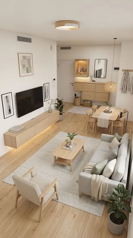 Scandinavian Living room