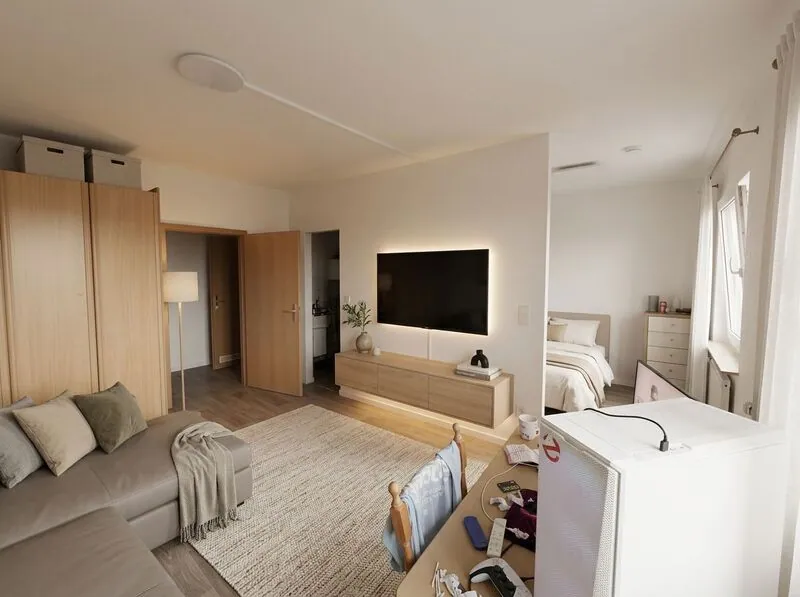 Scandinavian Living room