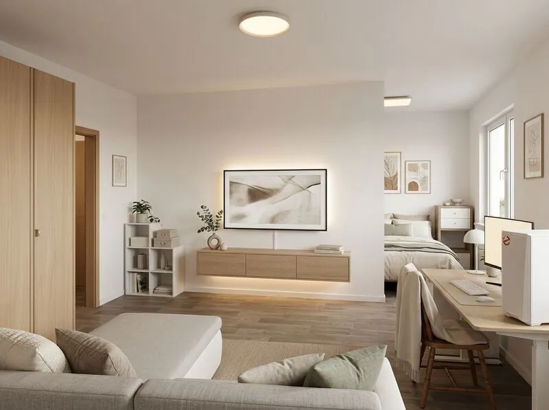 Scandinavian Living room