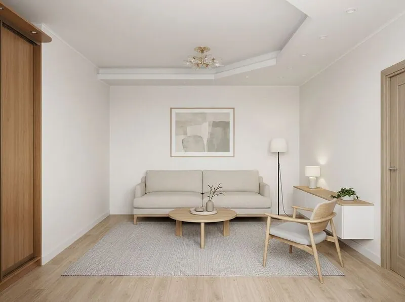 Scandinavian Living room