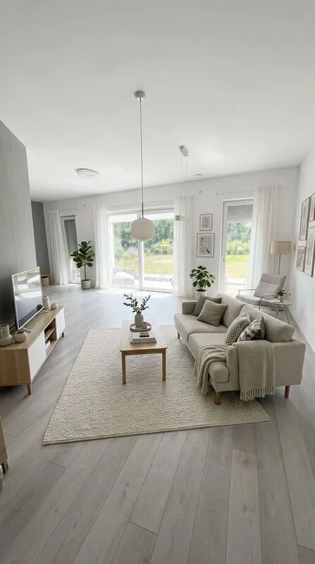 Scandinavian Living room