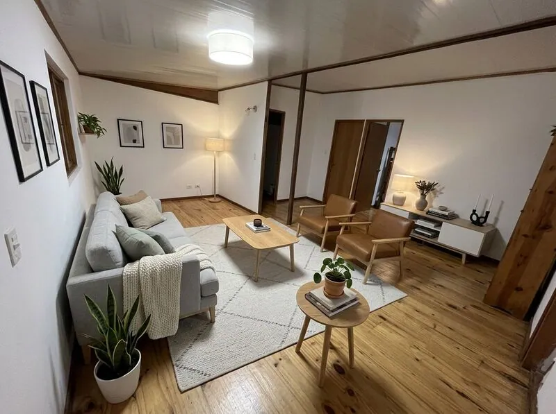 Scandinavian Living room