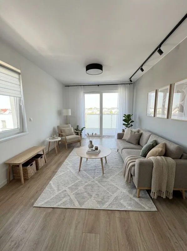 Scandinavian Living room