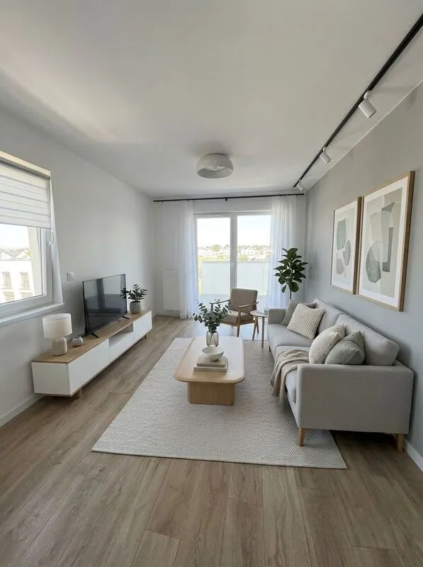 Scandinavian Living room