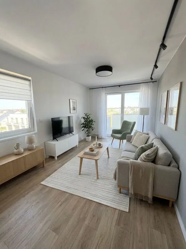 Scandinavian Living room