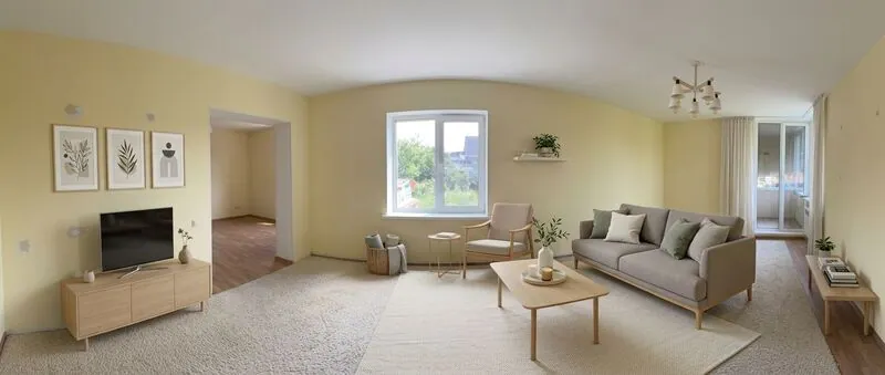 Scandinavian Living room