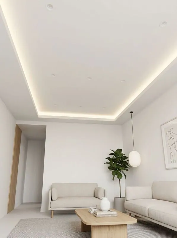 Scandinavian Living room