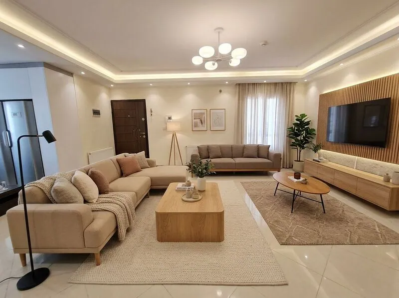Scandinavian Living room