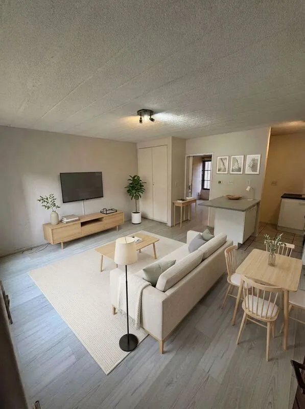 Scandinavian Living room