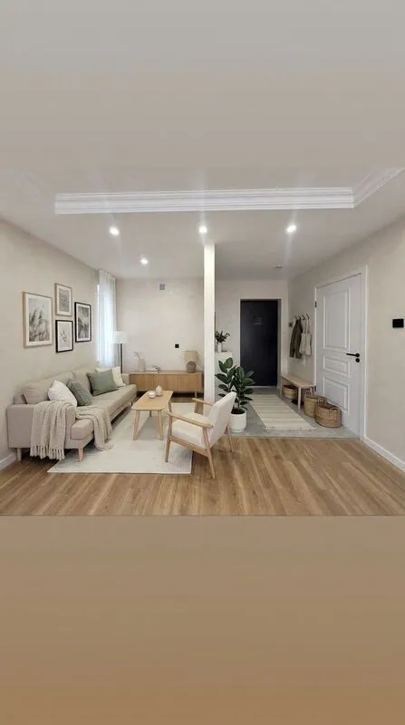 Scandinavian Living room